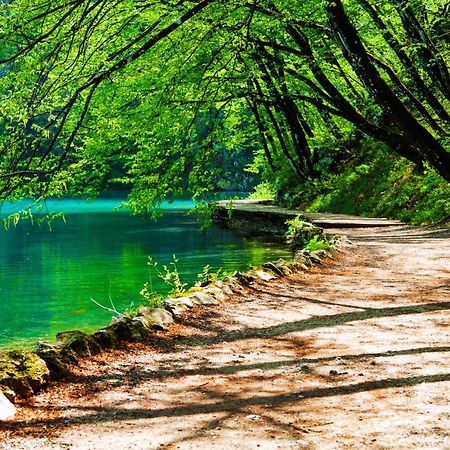 Plitvicka Kuca D - Plitvice Lakes 플리트비체 외부 사진